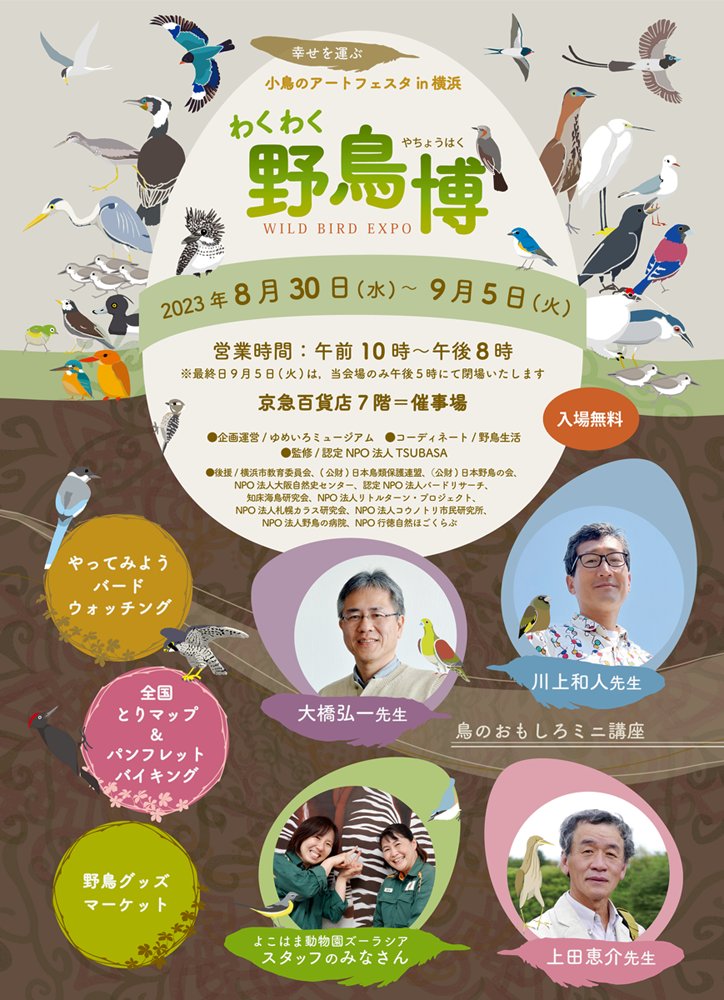 #わくわく野鳥博 本日からスタートです!
朝から設営しておりました…!首都圏の方はつべこべ言わず行くべし。パラダイスが待ってるから…
2024年カレンダー無事に完成しましたので見ていって下さーい!!!
#小鳥のアートフェスタ