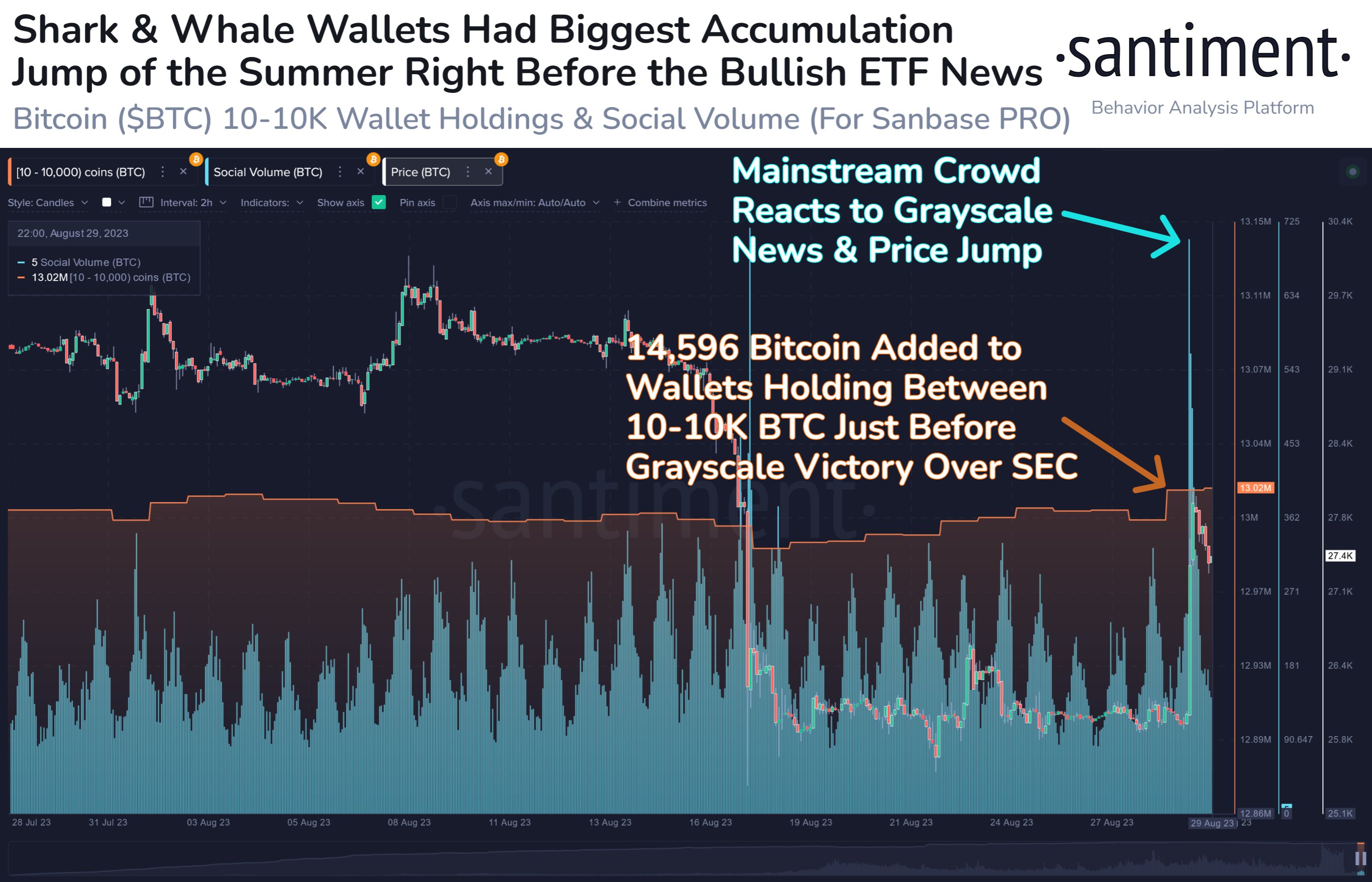 Bitcoin Sharks & Whales Bought Right Before Grayscale Rally: Data