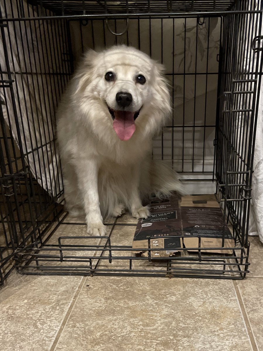 Typical white chick and her bota box 🙄