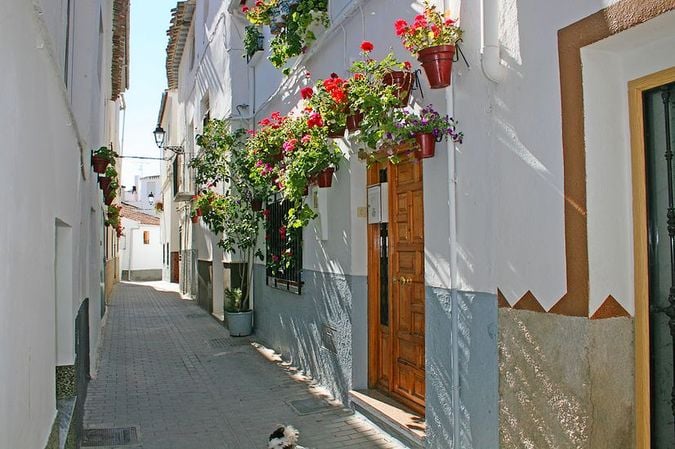 La localidad andaluza de #Baza es un destino turístico único que combina historia, naturaleza y cultura en un solo lugar. 
Más información y reservas 👇 buff.ly/3P4NeA0 
#granada #andalucia 
@aytobaza <a href="/turgranada/">Turismo Granada</a>