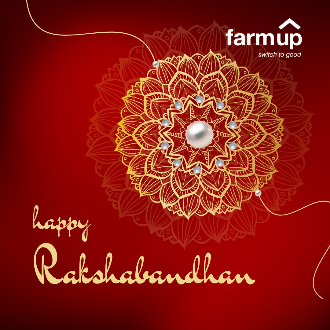 gofarmup's tweet photo. Wishing everyone a joyful and heartwarming Raksha Bandhan! 🎉 May the  bond of love and protection between siblings continue to grow stronger  with each passing day. Cherish the moments, create lasting memories, and  celebrate the beautiful connection that siblings share. https://t.co/2xab7jjbZY