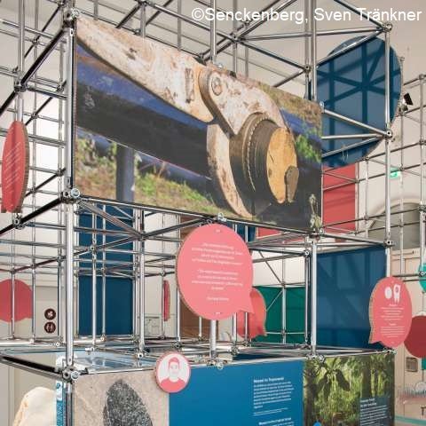 ProLOEWE (@proloewe) on Twitter photo Die Sonderausstellung🌩️🌕🌪️#Klimawissen schaffen v. LOEWE-VeWA wurde nach fast 9 Monaten im <a href="/Senckenberg/">SENCKENBERG</a>-Museum👷🏻♀️abgebaut. Wer sie verpasst hat, kann Teile der Ausstellung ab sofort in der <a href="/grubemessel/">Welterbe Grube Messel</a> anschauen➡️grube-messel.de/projekte-aktiv… <a href="/goetheuni/">Goethe-Universität</a> <a href="/geobiodiversity/">Senckenberg Research</a> #Klimaforschung Die Sonderausstellung🌩️🌕🌪️#Klimawissen schaffen v. LOEWE-VeWA wurde nach fast 9 Monaten im <a href="/Senckenberg/">SENCKENBERG</a>-Museum👷🏻♀️abgebaut. Wer sie verpasst hat, kann Teile der Ausstellung ab sofort in der <a href="/grubemessel/">Welterbe Grube Messel</a> anschauen➡️grube-messel.de/projekte-aktiv… <a href="/goetheuni/">Goethe-Universität</a> <a href="/geobiodiversity/">Senckenberg Research</a> #Klimaforschung