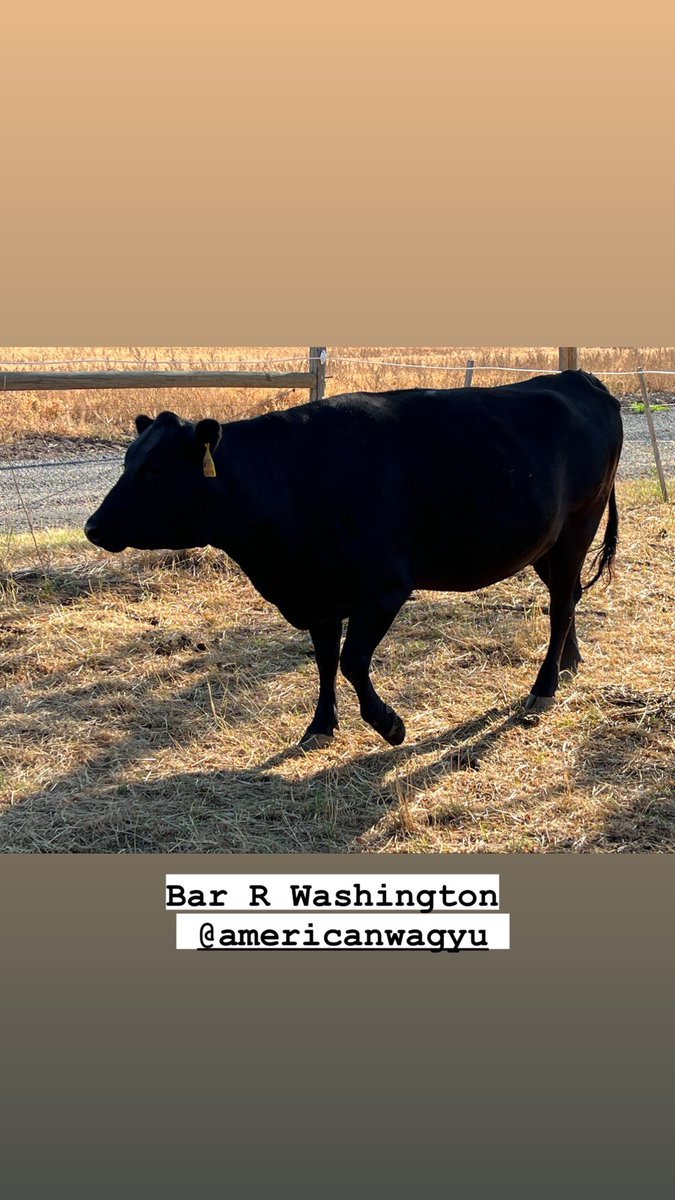 Riding Mountain Wagyu tweet media