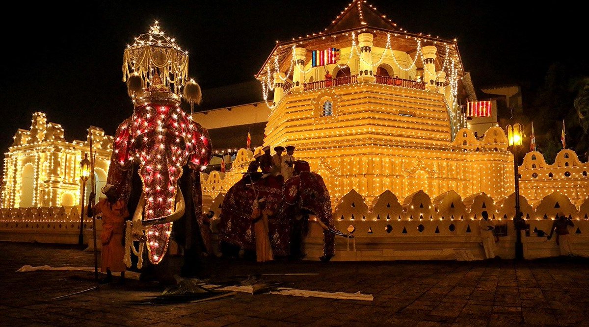 NewsfirstSL's tweet photo. Final Randoli Perahara to lighten streets of Kandy today
 
More Details: https://t.co/S4cDR2dpIX 

#news #newsfirst #news1st #localnews #lka #srilanka #srilankanews #latestnewsupdate #latestupdates #News #SLNews #NewsSL #SriLanka #LK #LKA #News1st #Lanka #Colombo #Kandy #perahara https://t.co/vGyVDaIkKJ