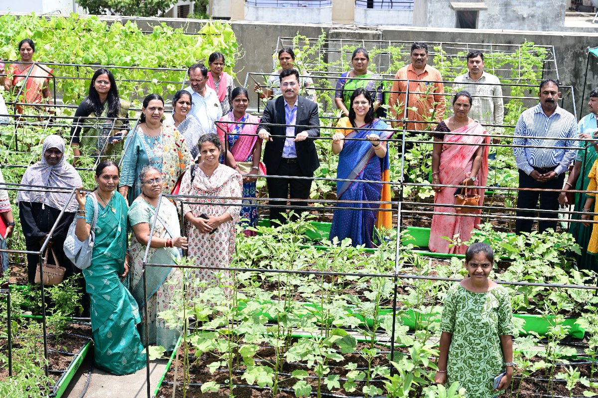 Urban_ASCI's tweet image. The @cdmatelangana office goes green!🍀
Smt @PamelaSatpathy, IAS launched the Urban Farming Centre (UFC) initiative atop the CDMA office. UFC is a collaborative effort between @cdmatelangana, @Urban_ASCI &amp;amp; @living_greens.

@KTRBRS @arvindkumar_ias @Chary_VSC @ASCIMEDIA