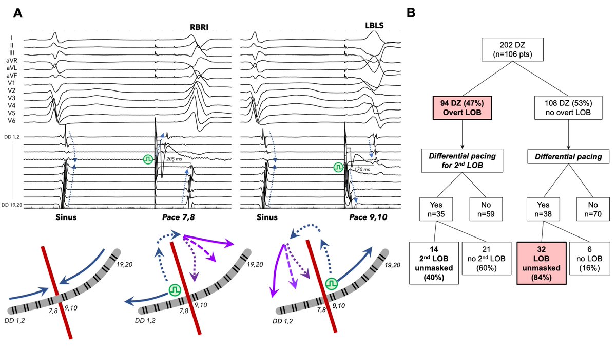 Roderick Tung tweet media