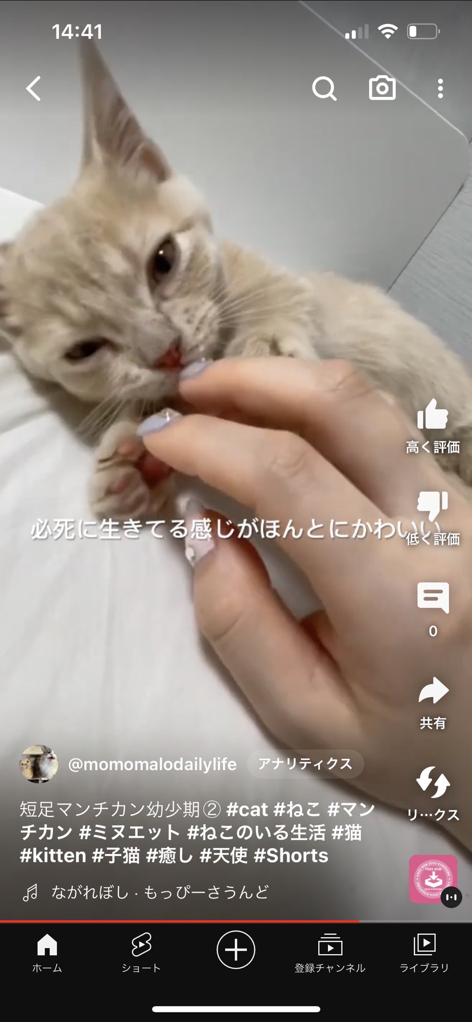 ももまろ (@nekosukiabcd) / X