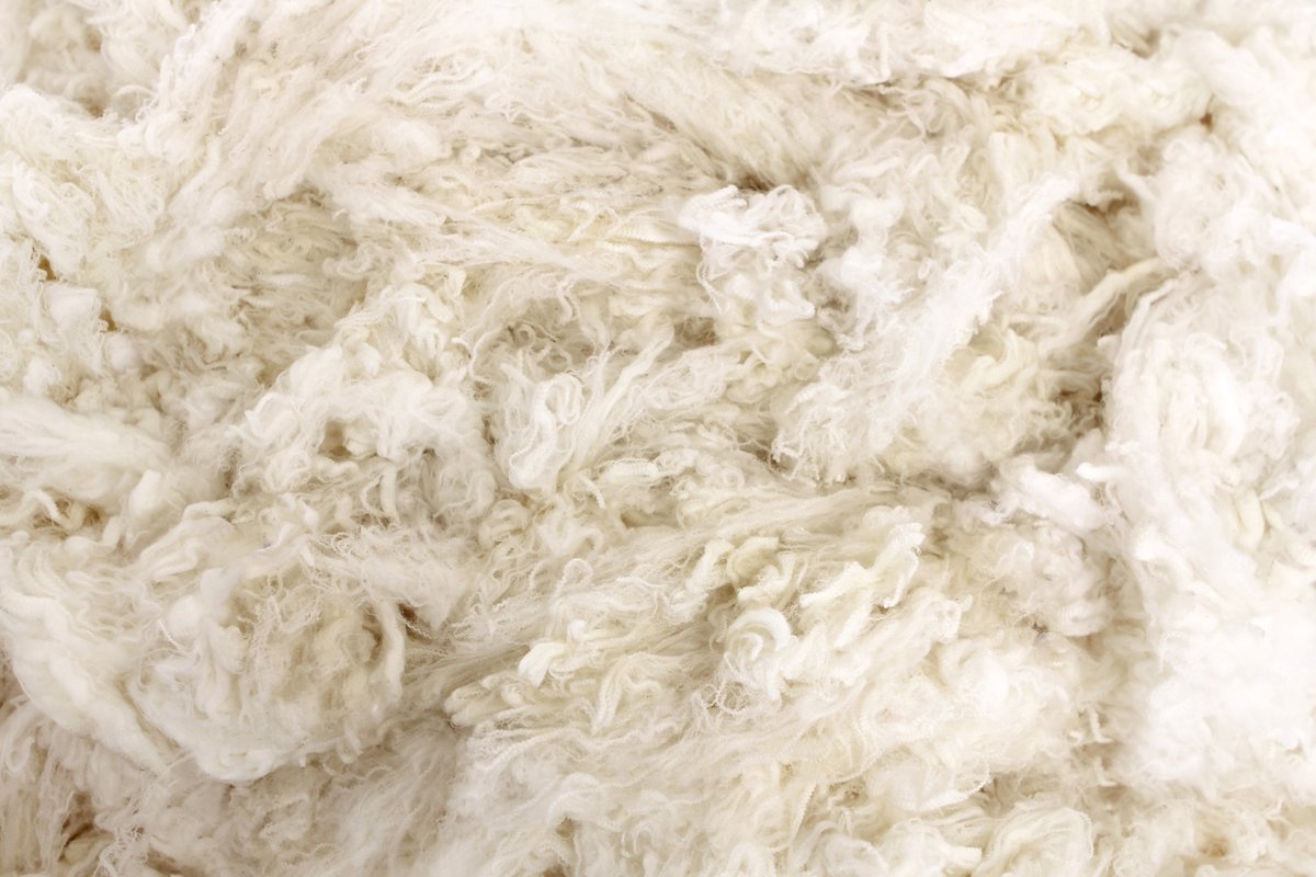 JohnSmedley's tweet photo. For the new season, our Extra Fine Merino Wool plays an integral role. Produced in partnership with @NZMerinoCo, explore a whole range of new styles in this inherently versatile and evocative fibre online or in store today.
#nzmerino #regenerativewool #johnsmedley https://t.co/I1JEnX7CLw