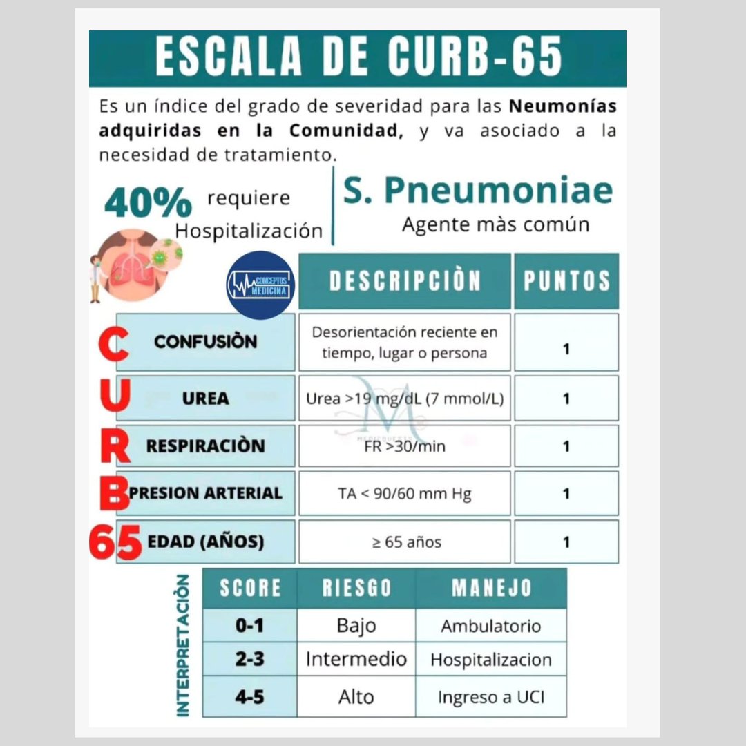 formsanitaria's tweet photo. Escala de Curb-65: es un índice del grado de severidad para las Neumonías adquiridas en la Comunidad que va asociado a la necesidad de tratamiento. 
.
Fuente: @conceptosmedici 
.
#escalacurb65 #formacionsanitaria #cursosanidad #cursosonline #neumonia https://t.co/KKPtyslM2s