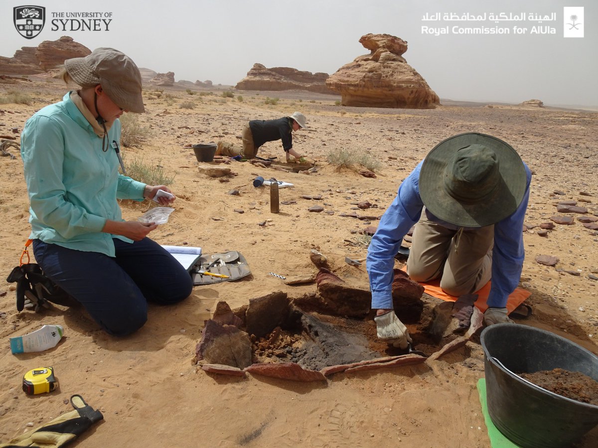 PAKEP_KSA's tweet photo. Everywhere we travel in #AlUla and #Khaybar, we find hearths (ancient fireplaces). Thousands of them! We excavate a number of them and sample the charcoal left inside to determine when it was last used and what was burnt inside. Some of our hearths are over 6,000 years old! https://t.co/eIxdEJq5Kb