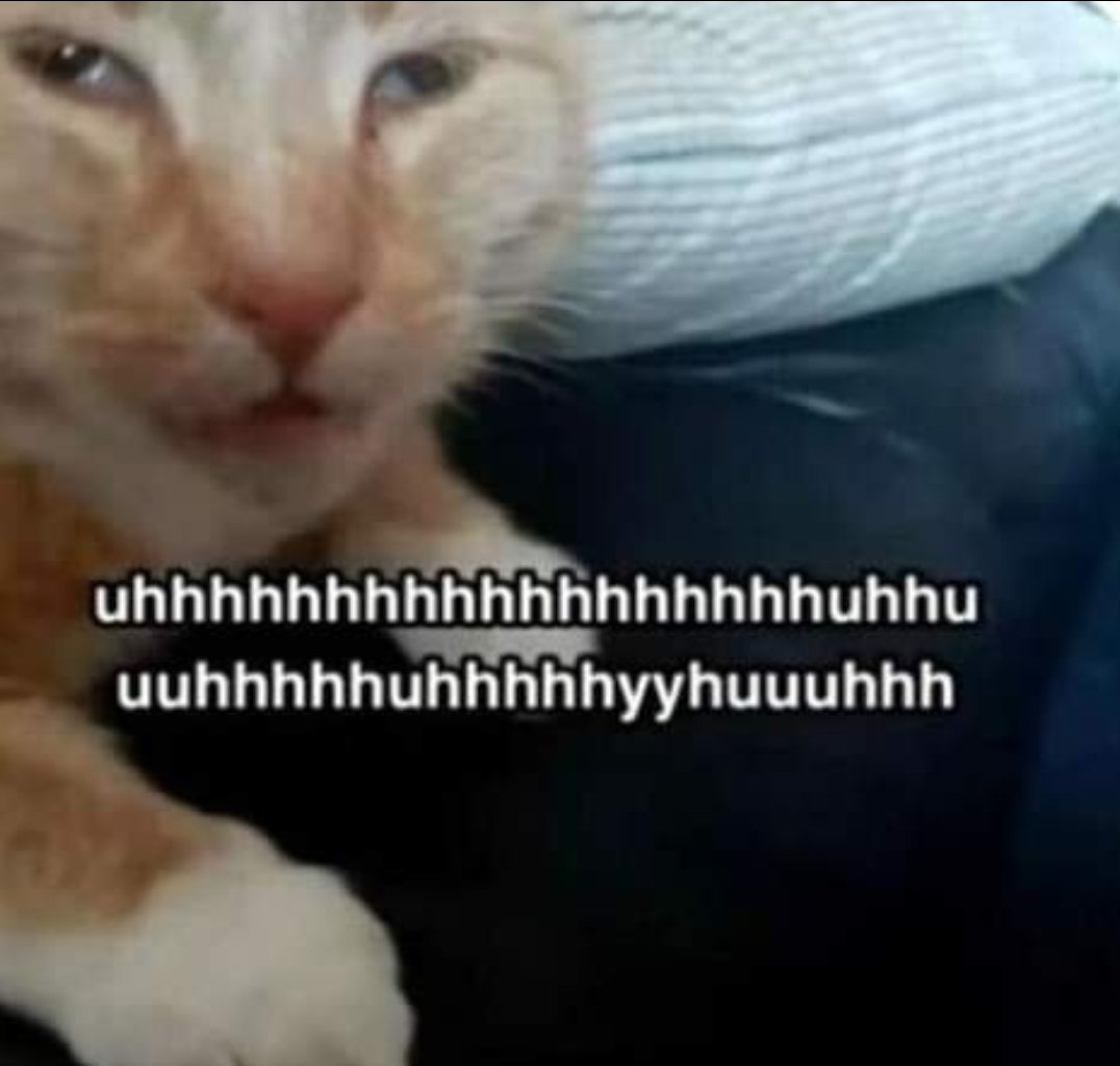 dahnoob (@dahnoobidiah) on Twitter photo 