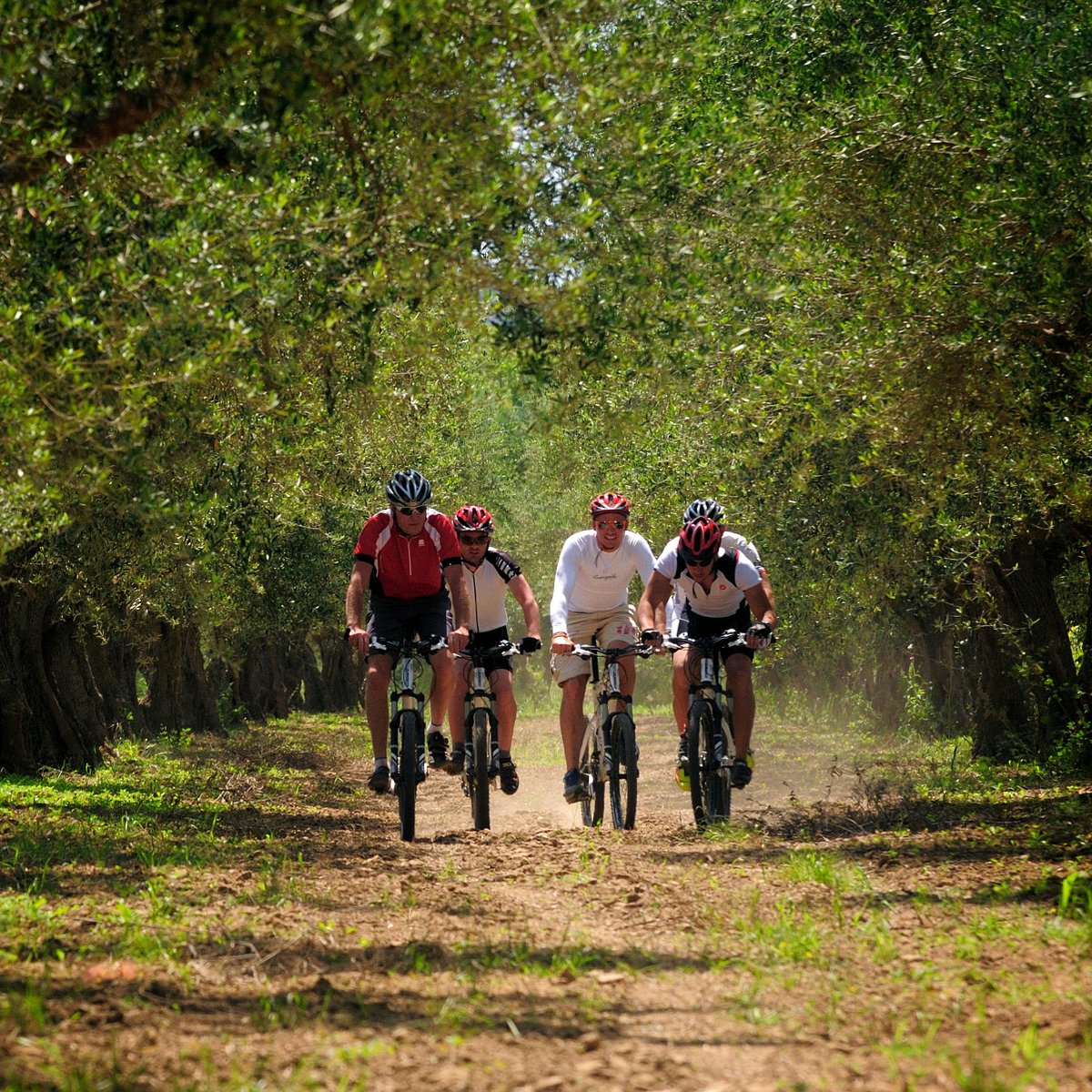 🚴‍♂️ You are always one ride away from a good mood. Our cycling tours are tailored to suit from novice mountain bikers to experts. Discover more: west.tn/6013Psp3t #westin #westincostanavarino #costanavarino #cycling #FeelWell