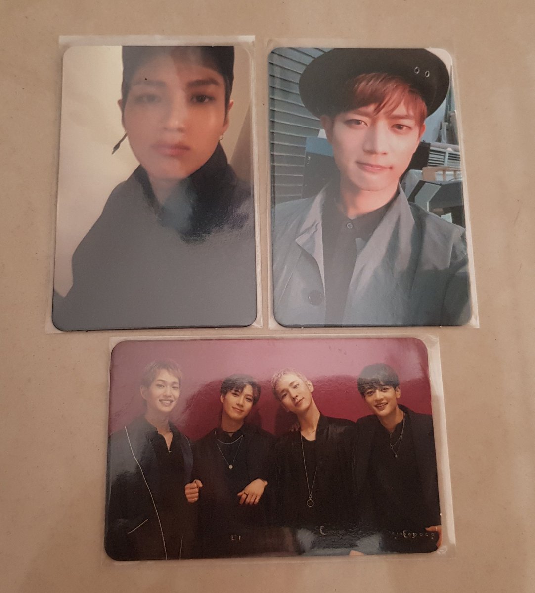 raven 🐊 tweet media