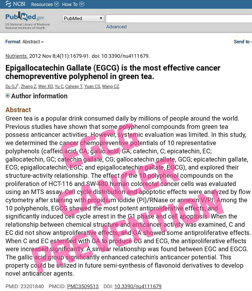 TerribleSwift tweet media