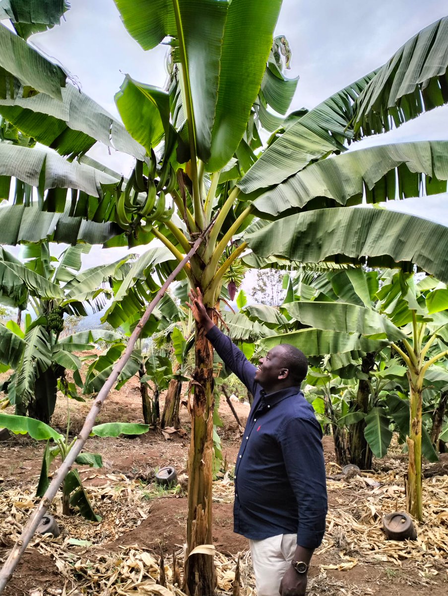 Kings Agricultural Services tweet media