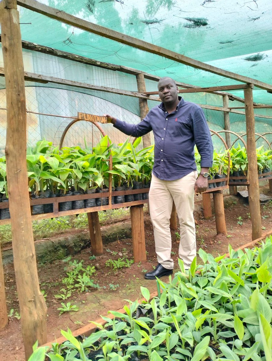 Kings Agricultural Services tweet media