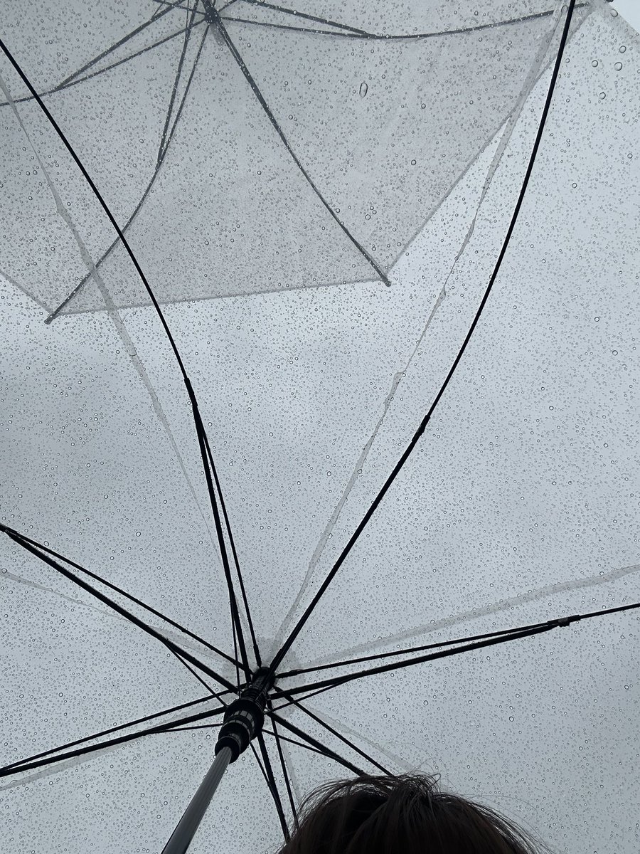 雨 https://t.co/Fzis0HYlCo