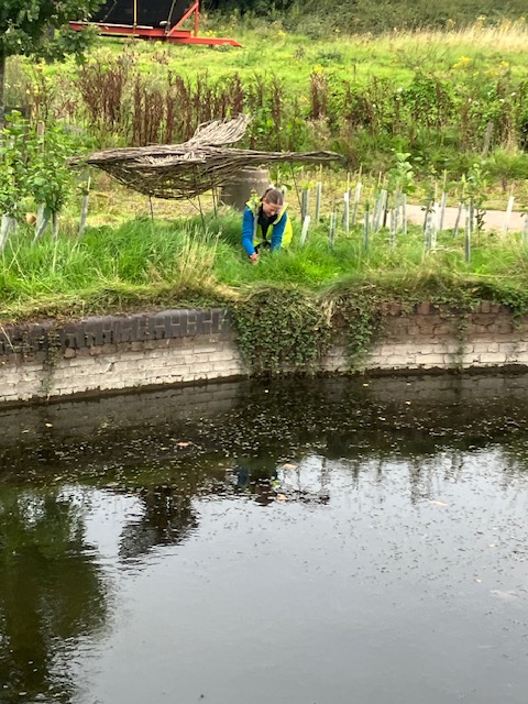 Lichfield & Hatherton Canals Restoration Trust (@lhcrt1) on Twitter photo A team of volunteers from the <a href="/DofECentral/">DofE Central England</a> office came to help us at Borrowcop Locks Canal Park.
They cleared around locks 26 and 27, clearing the paths, around any brickwork and young trees. (Where brambles bore fruit, these were left.)... A team of volunteers from the <a href="/DofECentral/">DofE Central England</a> office came to help us at Borrowcop Locks Canal Park.
They cleared around locks 26 and 27, clearing the paths, around any brickwork and young trees. (Where brambles bore fruit, these were left.)...