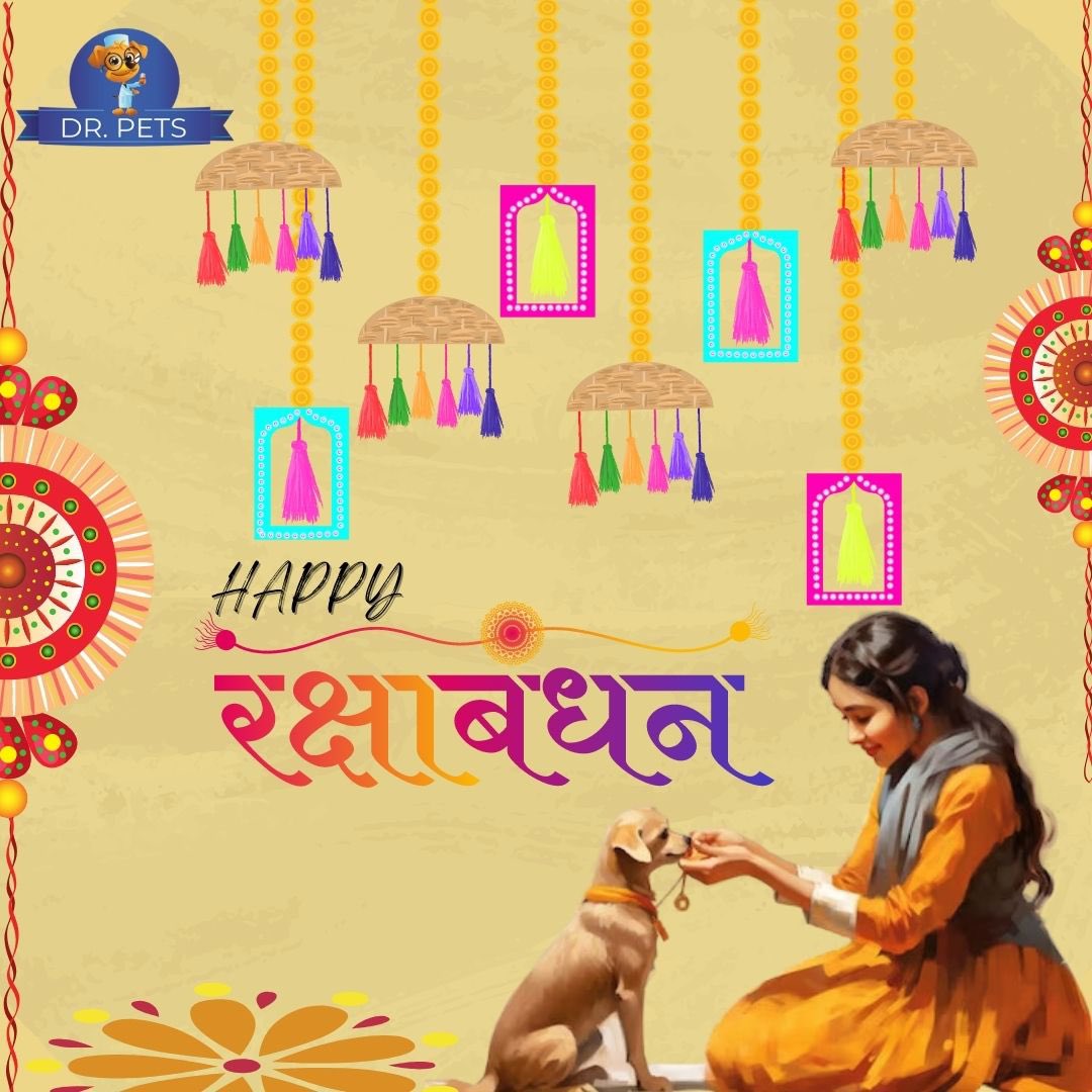 Happy raksha bandhan to all
#rakshabandhan #happyrakshabandhan #drpets