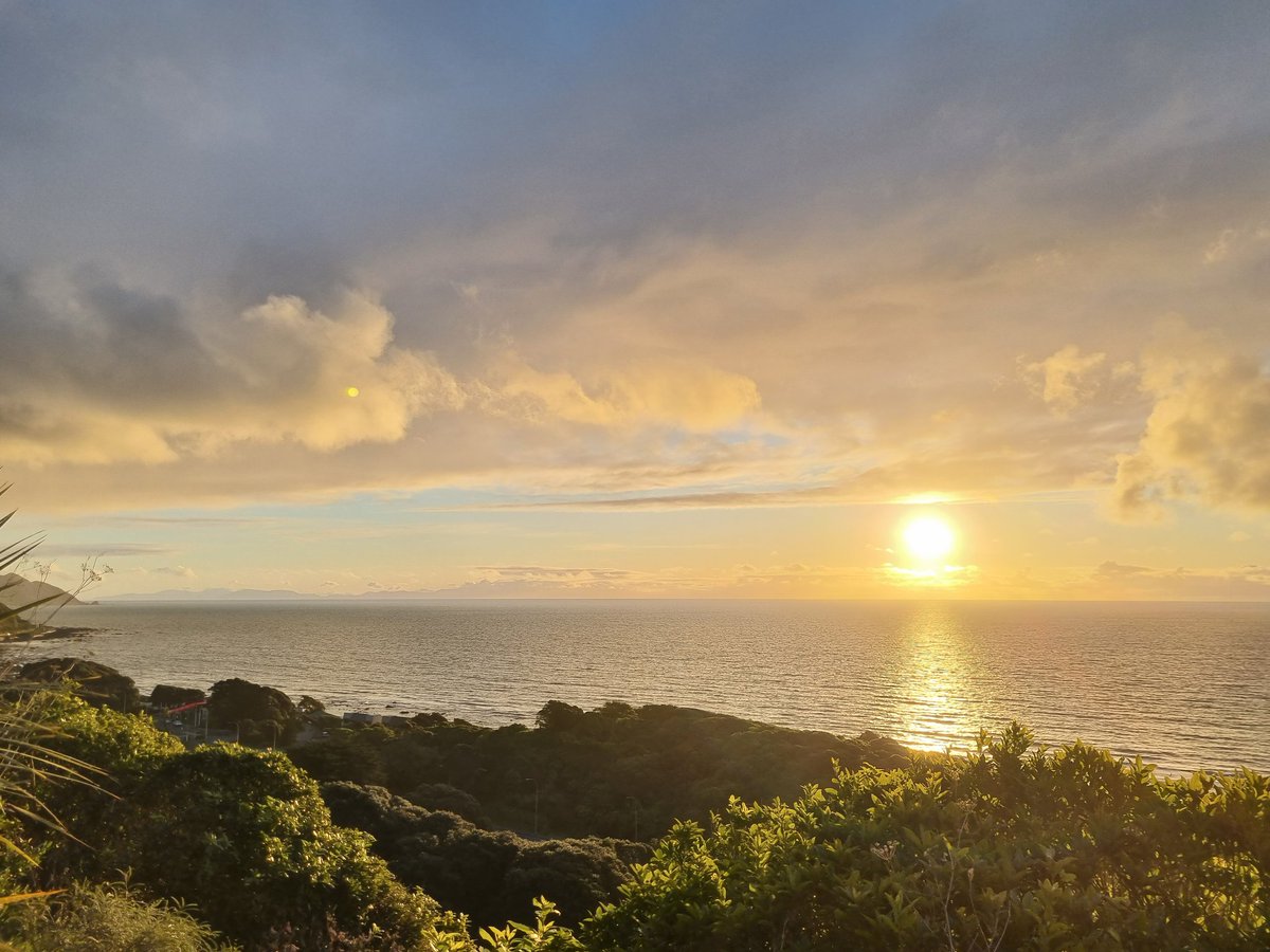 There was enough daylight after work tonight to walk some of the #Paekakariki escarpment track. Mighty fine, no regrets. Also.. #Kereru, #Piwakawaka, #Tui and #Riroriro