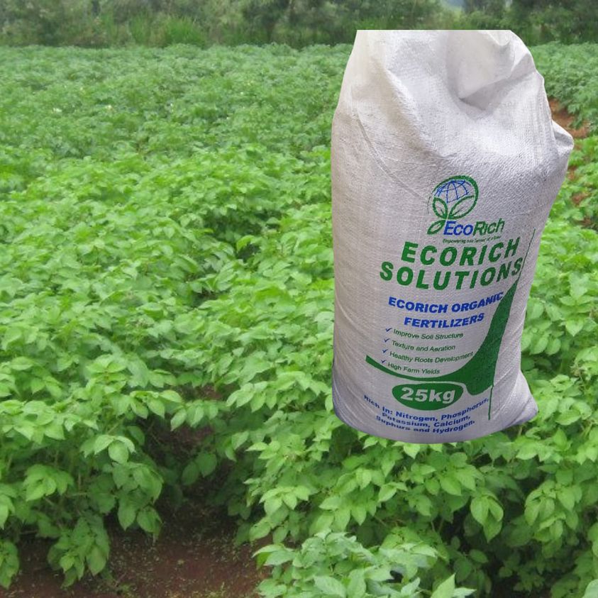 E4ICenterKenya's tweet image. 4/4 #EcoRich has won several awards for the #impact on #farmers and contribution to #ClimateAction. The founder Joyce Rugano is part of the #womeninbusiness focused #WONDERProgram 

More on EcoRich here ecorich.co.ke

#WonderWednesday #circularity #wastemanagement