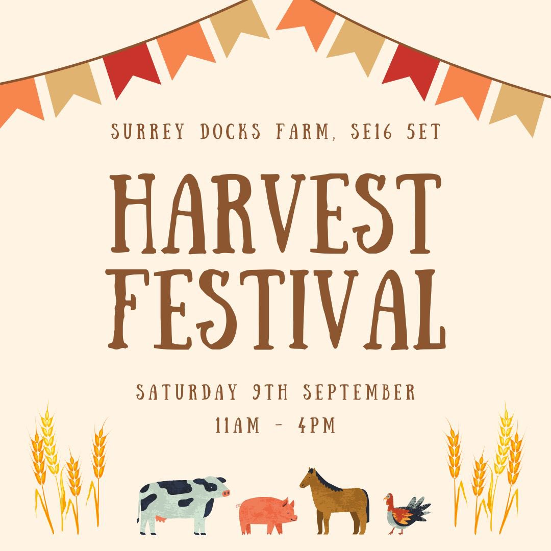 We’re excited to host our annual Harvest Festival in just ten days! Join us on September 9th for fair games, bbq, farm pizzas, animal handling, Morris men, face painting, craft stalls, farm produce and more!