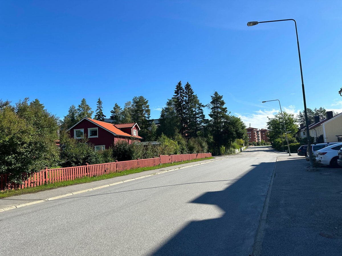 SwedenDiaries's tweet photo. "Umeå's Hidden Gem: Birchwood #Houses nestled among lush green #trees 🌳🏡✨ Discover the serene #beauty where architecture meets nature's embrace. #UmeåBirchwoodHomes #LushGreenRetreat #TranquilEscape"  #swedendiaries #sweden #swedenimages https://t.co/Bm0mn43q7Y