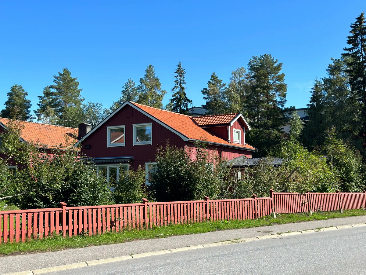 'Umeå's Hidden Gem: Birchwood #Houses nestled among lush green #trees 🌳🏡✨ Discover the serene #beauty where architecture meets nature's embrace. #UmeåBirchwoodHomes #LushGreenRetreat #TranquilEscape'  #swedendiaries #sweden #swedenimages