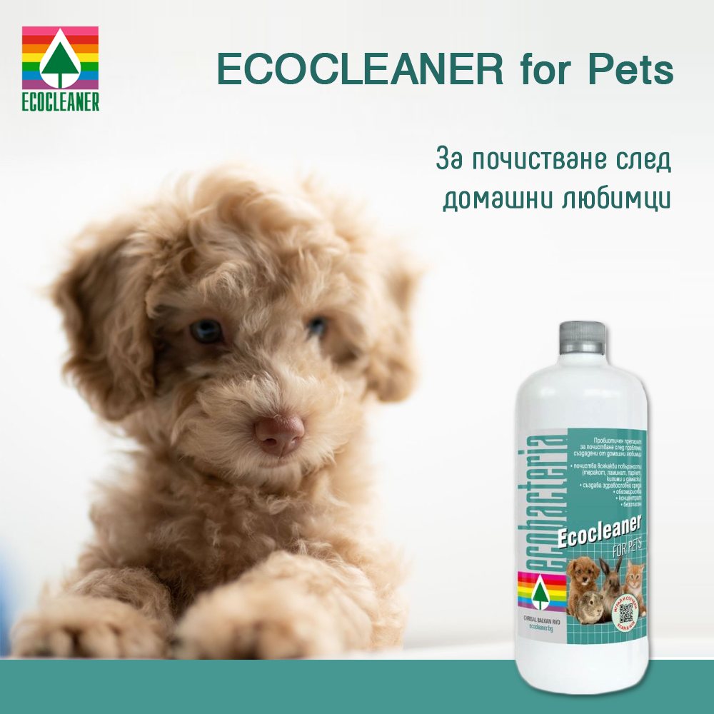 Ecocleaner_Bg's tweet photo. 💦#Почистете замърсяванията, останали от домашните Ви любимци🐶с 𝐄𝐜𝐨𝐜𝐥𝐞𝐚𝐧𝐞𝐫 𝐟𝐨𝐫 𝐏𝐞𝐭𝐬.  https://t.co/pHdUAaS6Tr
👉Многофункционален #препарат, обогатен с безопасни пробиотични бактерии. 
#home #cleaning #desinfection #ecology #Varna #Bulgaria #екологичнипрепарати https://t.co/KPPlEKcCZ6