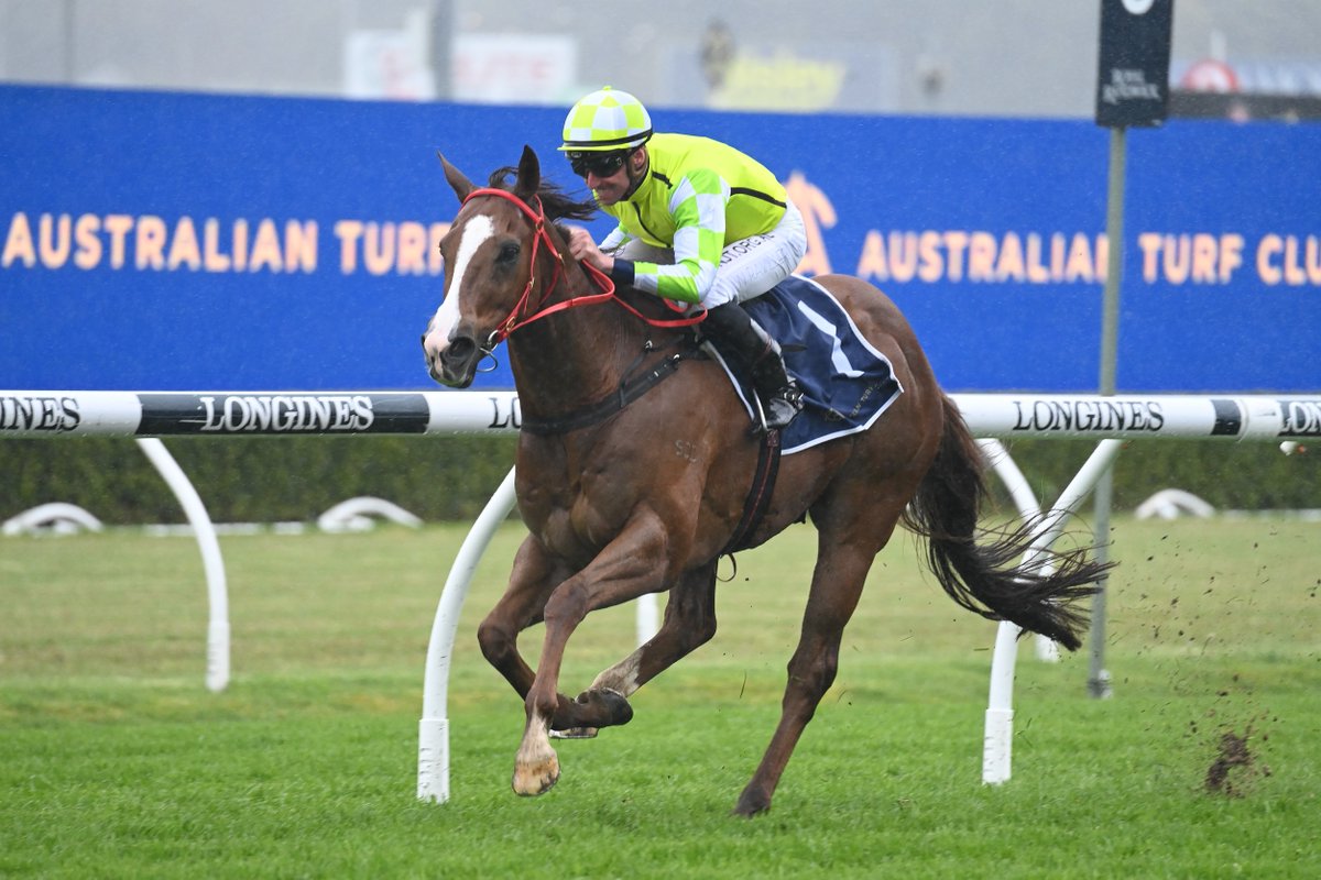 Racing NSW tweet media