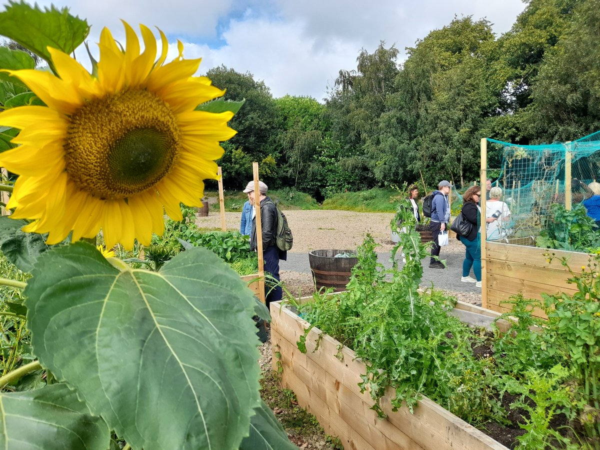 Pamela Barnes (she/her) tweet media