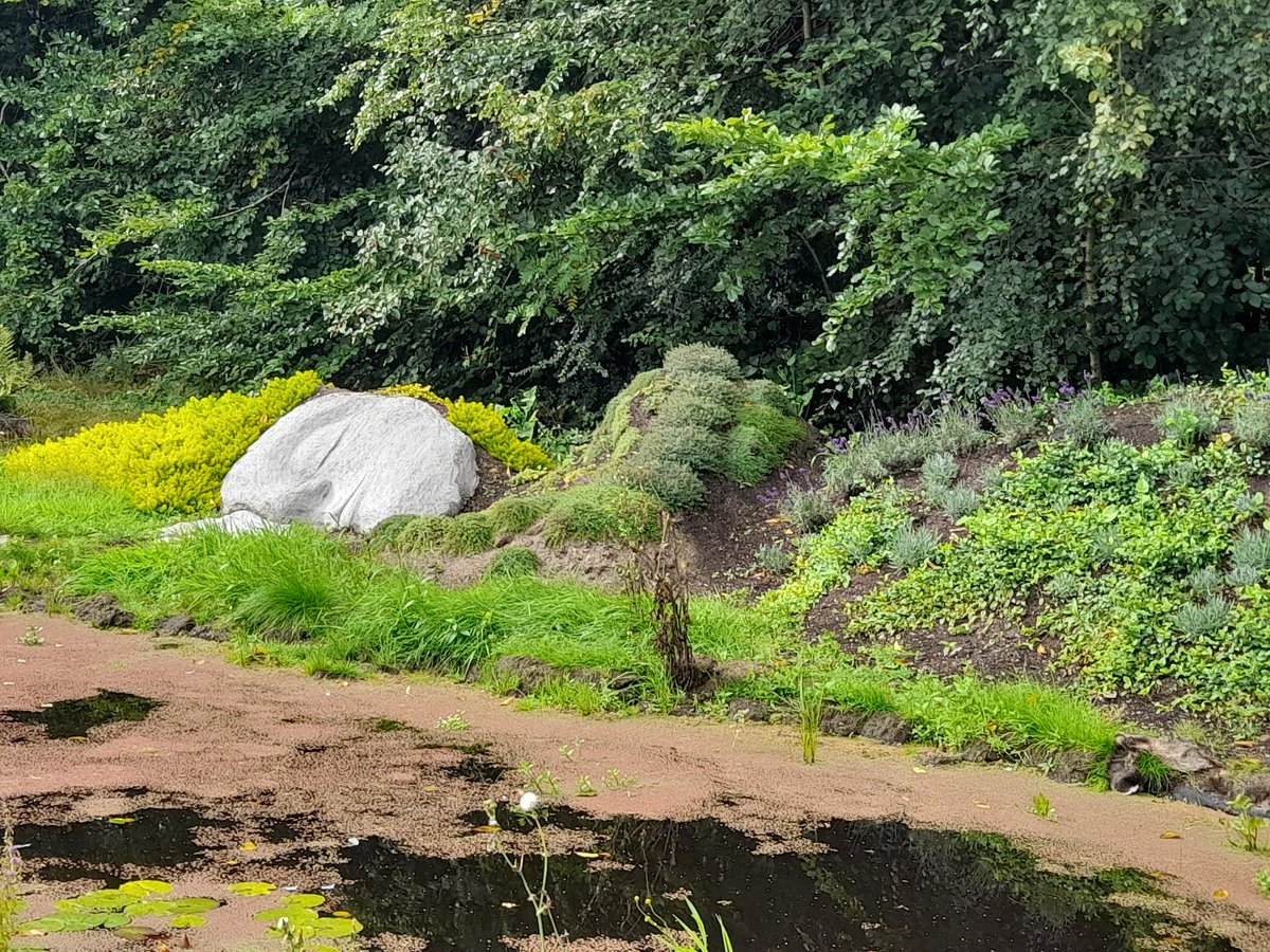 Pamela Barnes (she/her) tweet media