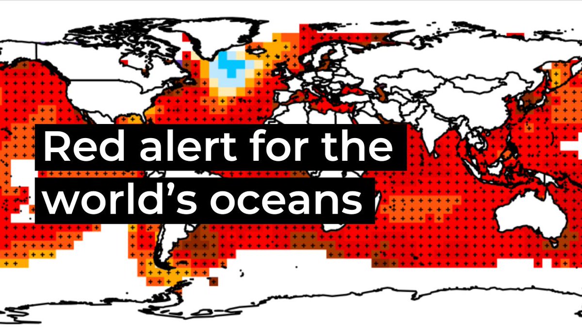 ClimateCrisisAG's tweet photo. 🔴 Red Alert For The World's Oceans 🌊

Sea surface temperatures have reached record highs. Join CCAG at our next public broadcast as we explore the causes and discuss next steps:

🗓️ Thu 31 Aug
🕒 12pm BST
🔗 https://t.co/YAXS1LWZNG https://t.co/9lNq42XMn0