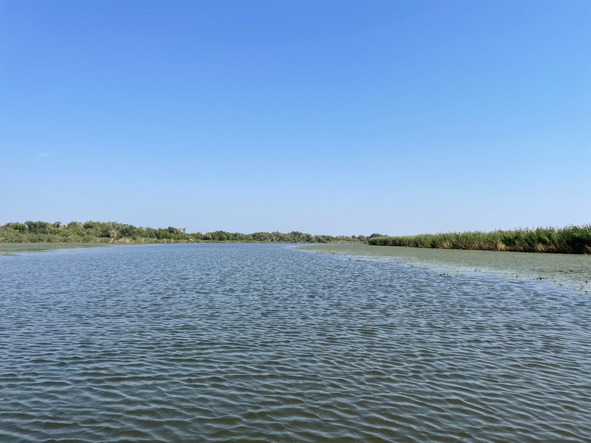 NagyBobi14's tweet photo. Egy kis evezés 🛶☀️🥰

#2BGreat https://t.co/4wUtwdVPfl