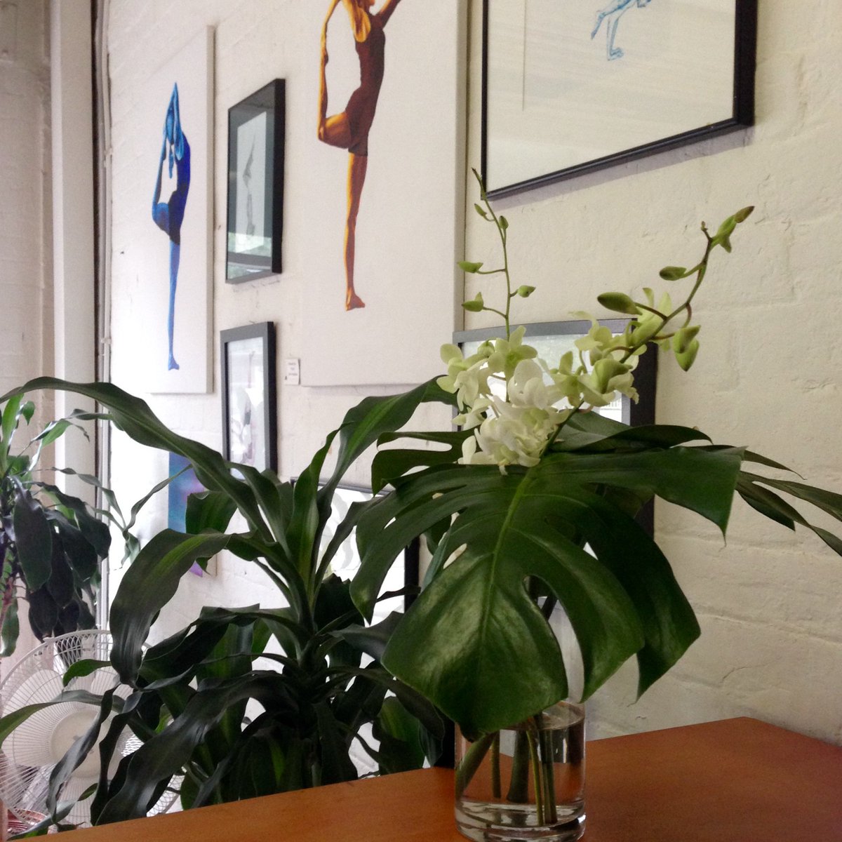YTGS is an Iyengar Yoga and Pilates Studio located in Petersham, Sydney's vibrant inner west.

Qualified professional teachers run classes for beginners to advanced practitioners, in a relaxed environment to nurture your progress.

Sign up for a class: yogatogo.com.au
