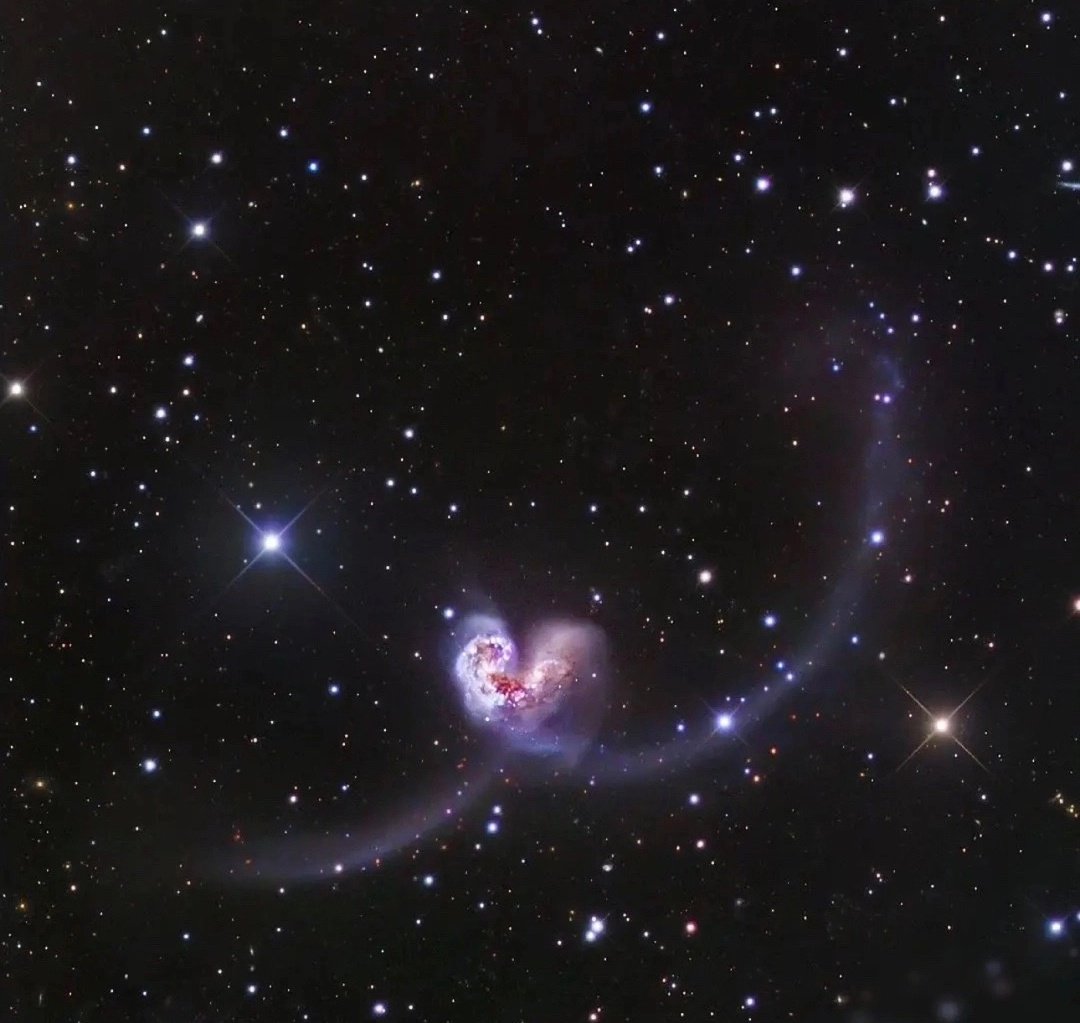 tomursbf's tweet image. ✮ㅤ︵ㅤ۪ㅤ۫   2:22   𝆬      ֪