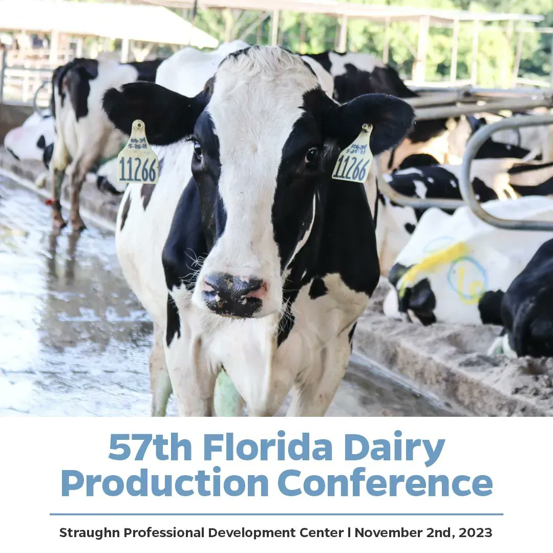 Save the Date! 🐄 

The 57th Florida Dairy Production Conference will be held at the Straughn Professional Development Center in Gainesville, FL on November 2nd!