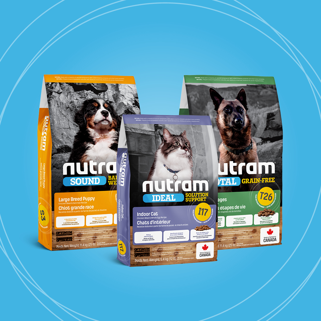 It’s National Holistic Pet Day!

Animals need to be mentally active &amp; challenged or they risk listlessness &amp; boredom. High-quality, natural food helps your pets fight allergies, intestinal problems, obesity, diabetes &amp; other food-related diseases.

#nutram #holistic #petfood