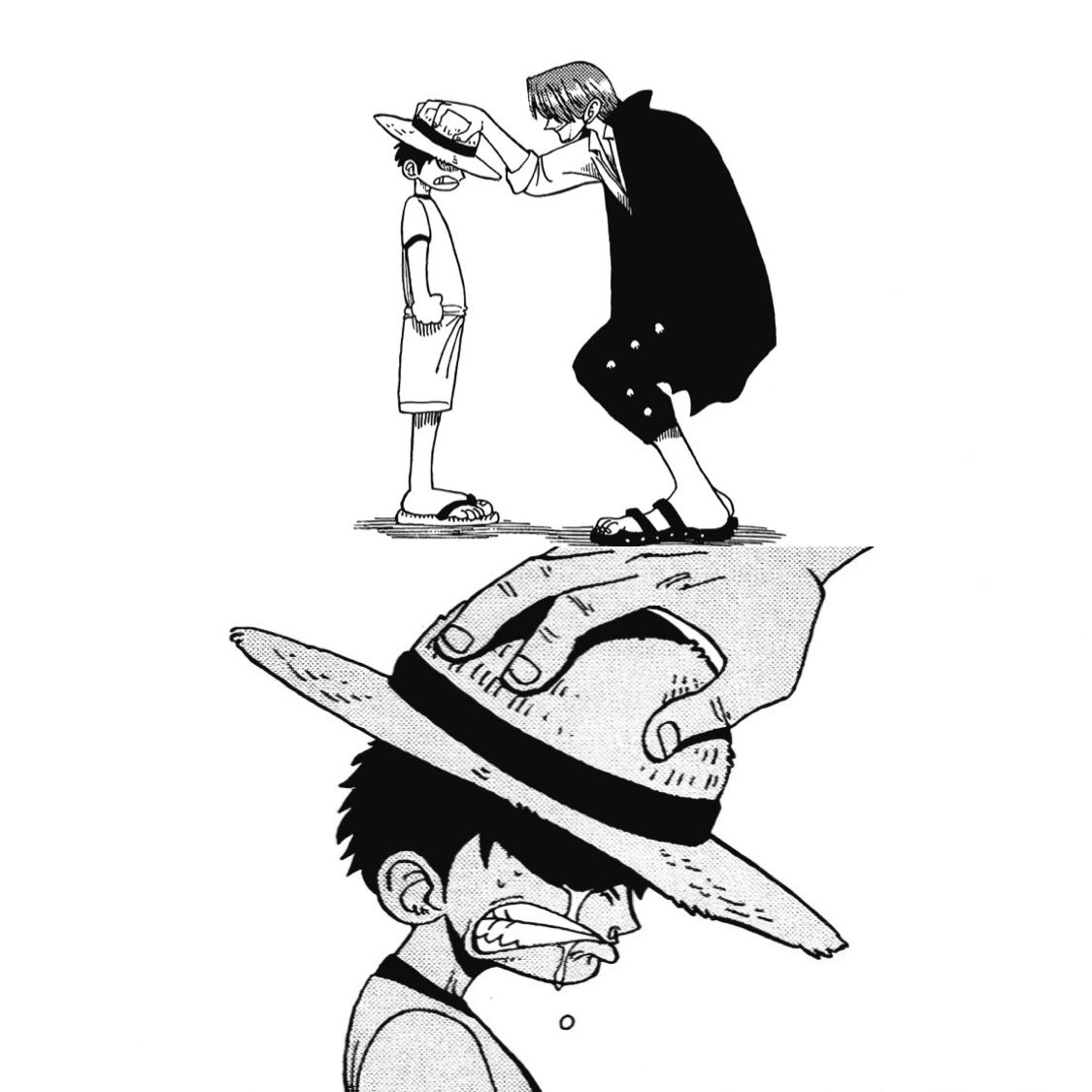 One Piece tweet media