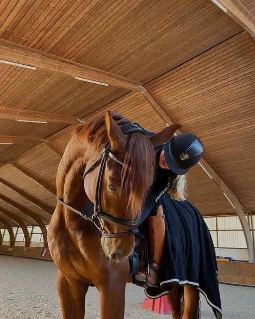 Horses🐎 (@thhorss) on Twitter photo 
