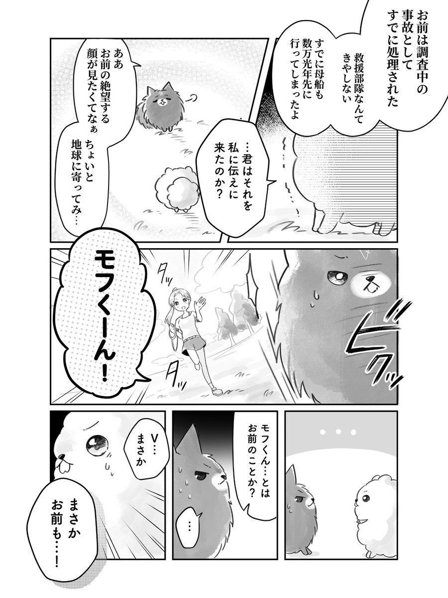 pomeranianX's tweet photo. （2/2） https://t.co/DJ3ZRKIARJ