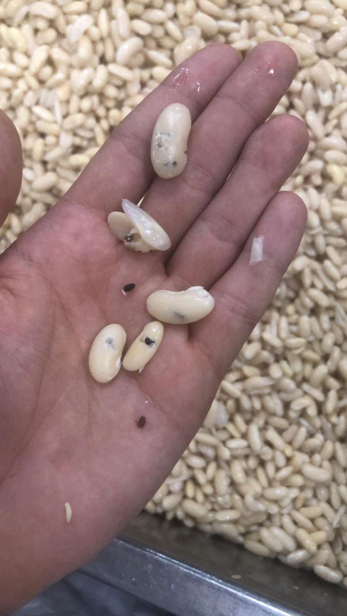 Kocaeli'nde helal gıda adı altında salam, sucuk ve sosis üreten Amana Foods isimli firmanın Suriyeli patronu Mazen Derawan, sendikaya üye oldukları gerekçesiyle 29 işçiyi işten çıkardı. İşçiler ise fabrikada üretilen ürünlerin fotoğraflarını paylaştı.