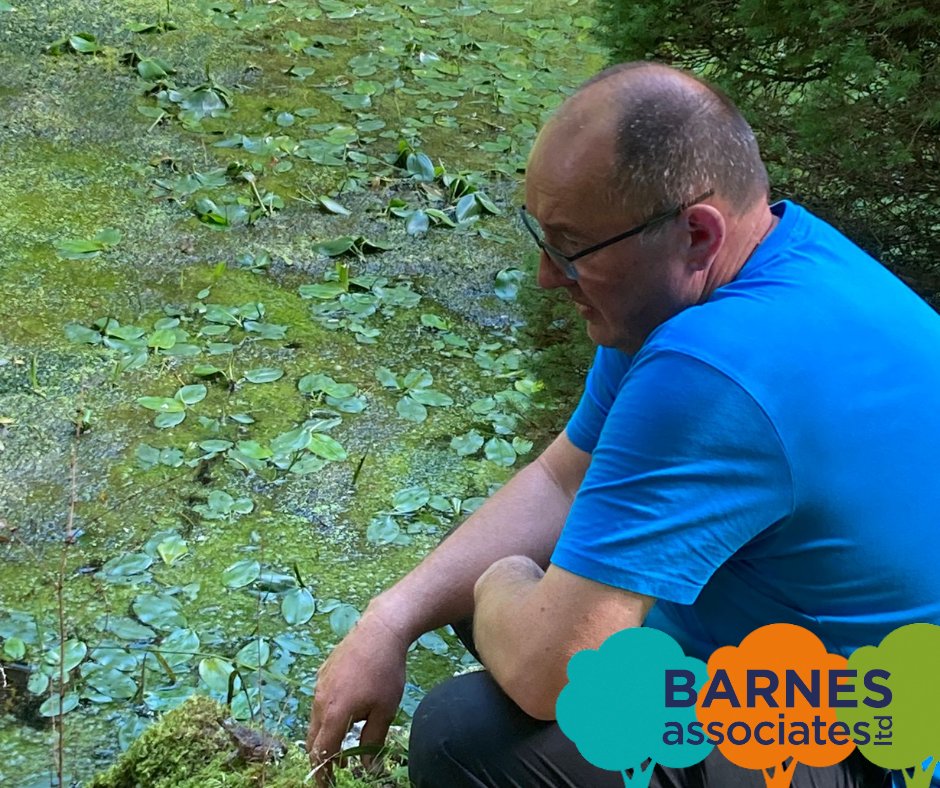BarnesAssocLtd's tweet image. Not all heroes wear capes!  👇
When we heard a Toad in distress we deployed Ian to the scene who safely extracted the Toad to safety whilst Mat eagerly waited camera in hand for a ‘you’ve been framed’ £250!  😂 (That never came)
#BarnesAssociates #TreeSurvey #TreeConsulting