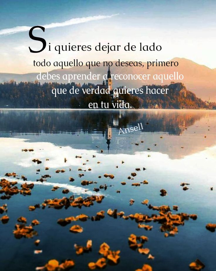 Camino a la Eternidad (@caminoaloeterno) on Twitter photo 