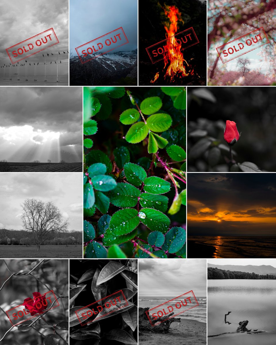 Hi🥰
Good day my friends😍💕⚘️

🔸️Flower bud
4/20
2 xtz 

🔸️Rain on the leaves
1/1
30 xtz 

🔸️Sun radition through the clouds
5/10
2 xtz 

🔸️lonely tree
7/10
3 xtz 

🔸️Turtles on a wooden board
8/10
3 xtz 

🔸️Sunset by the sea
7/10
3.5 xtz

objkt.com/profile/tz1bdB…