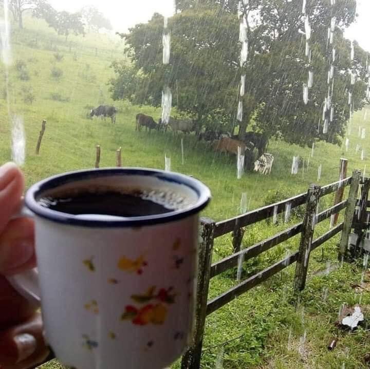 RincnCuriosoo's tweet photo. Esta imagen transmite una paz... 😊😊🍂 https://t.co/wt8FTJZu8j