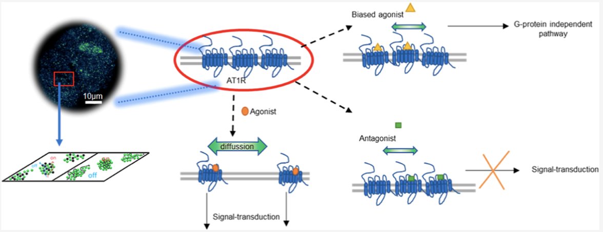 Eva Arnspang Christensen 🦠🍃🧫🔬🧬 tweet media