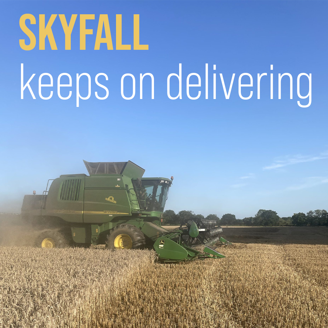 The wet weather is causing many farmers headaches this year, but those with RGT Skyfall are happy with its consistent performance in a wide range of growing conditions. 👏🏻🚜

Read the full story: bit.ly/skyfallkeepson…

#thinkwheatthinkragt #wheat #rgtskyfall #latedrilledwheat