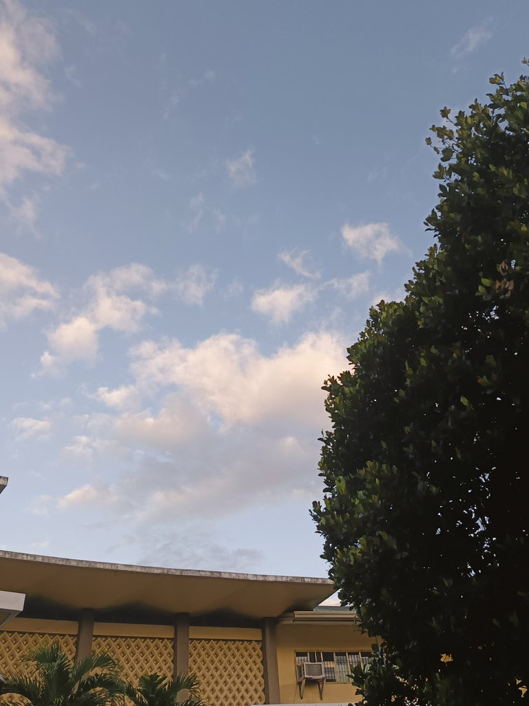 study_ika's tweet image. 2nd dayy 😌✍️