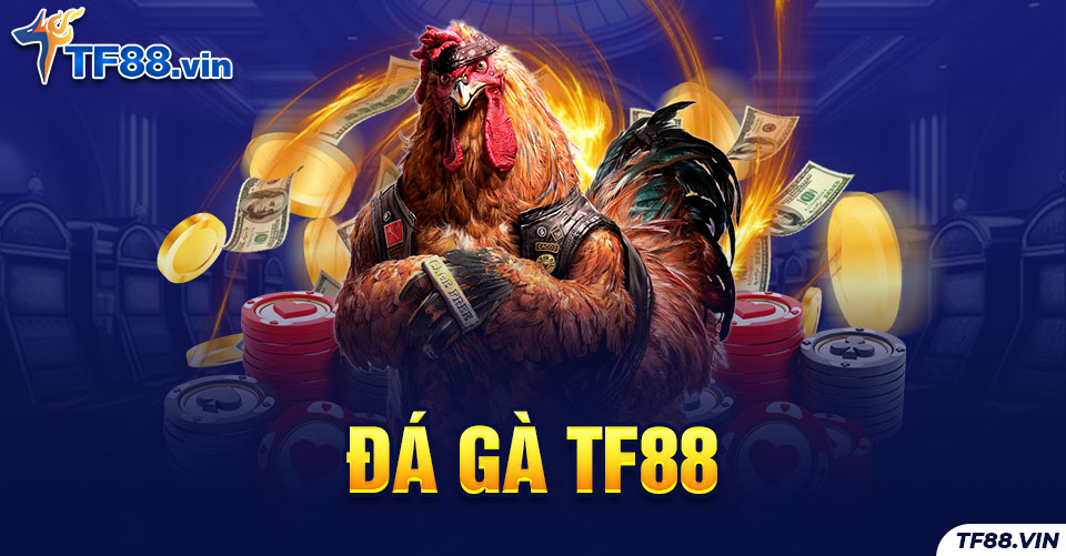 Khám Phá Mu88 - Chia Sẻ Trọn Vẹn Từ Chuyên Gia